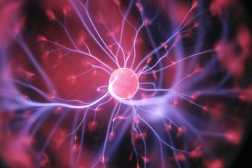 Ein Bakterium ist ein mikroskopisch kleines, einzelliges Lebewesen, das zur Gruppe der Prokaryoten gehört.