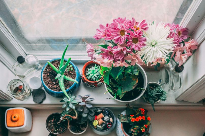 Ein Ziertopf ist ein dekorativer Blumentopf oder Pflanzbehälter, der zur Verschönerung von Innen- oder Außenräumen verwendet wird. Ein Ziertopf ist ein dekorativer Blumentopf oder Pflanzbehälter, der zur Verschönerung von Innen- oder Außenräumen verwendet wird.