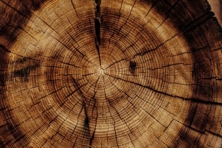 Massivholz bezeichnet Holz, das aus einem einzigen, soliden Stück Holz besteht und nicht aus mehreren Schichten oder Partikeln zusammengesetzt ist