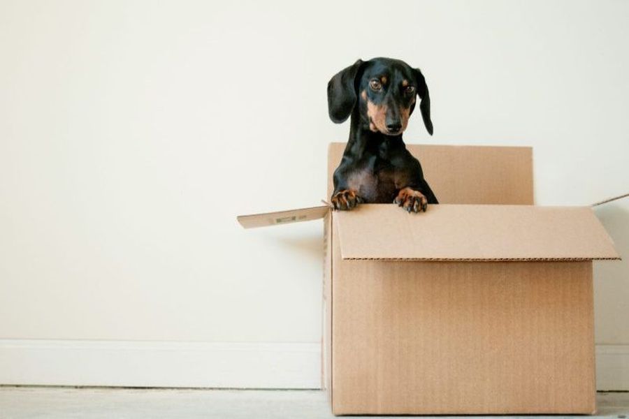 Ein Umzugskarton bezeichnet einen Karton oder eine Kiste, die zum Verpacken von Gegenständen bei einem Umzug verwendet wird