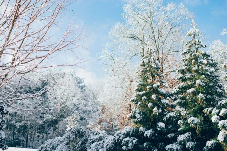 Der Winter ist eine der vier Jahreszeiten, die sich durch niedrige Temperaturen und häufiges Auftreten von Frost, Schnee und Eis auszeichnet